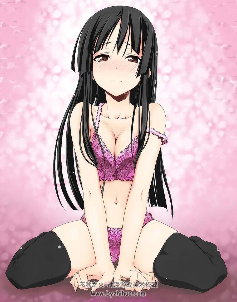 王的隐藏画师